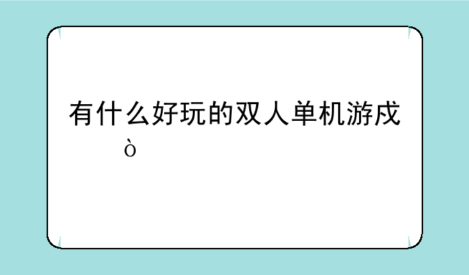 有什么好玩的双人单机游戏？