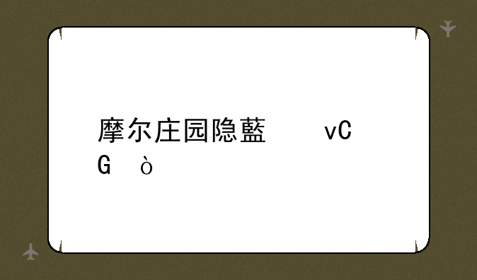 摩尔庄园隐藏坐骑？