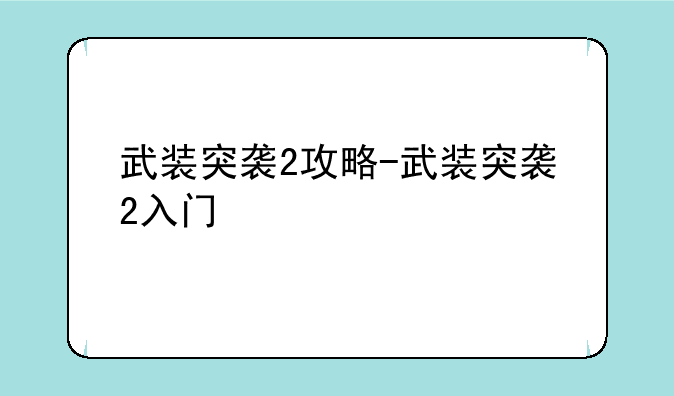 武装突袭2攻略-武装突袭2入门
